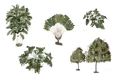 Vila Raiô — plantas